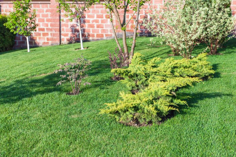 Yard Grading