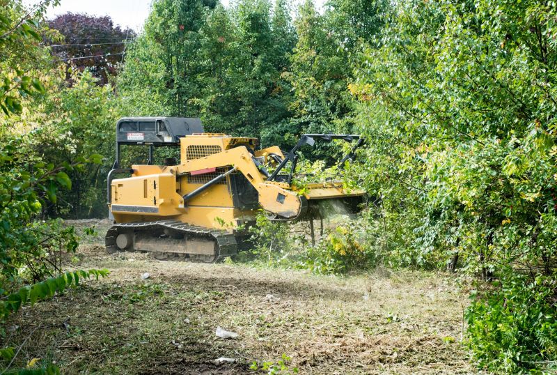 Acreage Clearing in Salt Lake City, UT